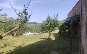 Borgo Villa A Tolli